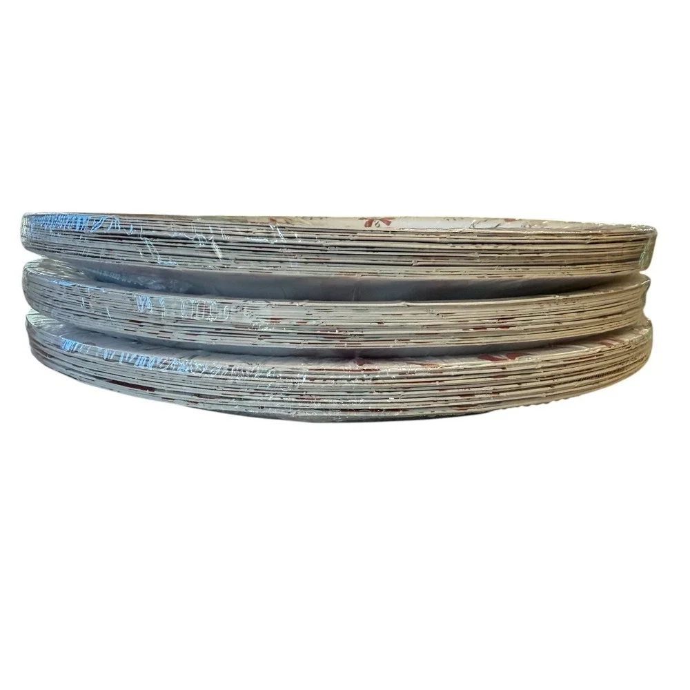 PAPYRUS Peppermint Candy Cane 48 Dinner Plates 10